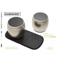 Sardine F1 Mini Bluetooth Speaker (Black)